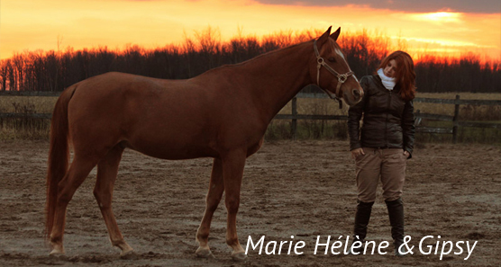 Entraineur d'équitation: Marie Hélène Laroche